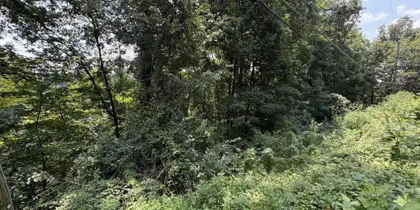 Image 2: Lot Left View
