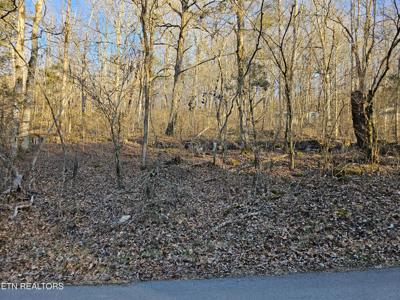 Blue Springs Rd