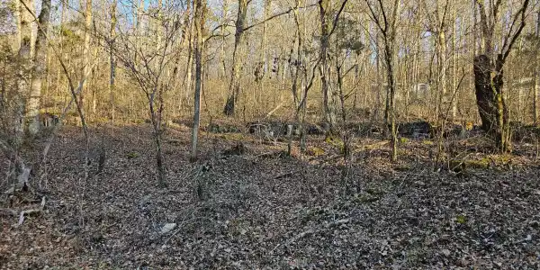 Blue Springs Rd