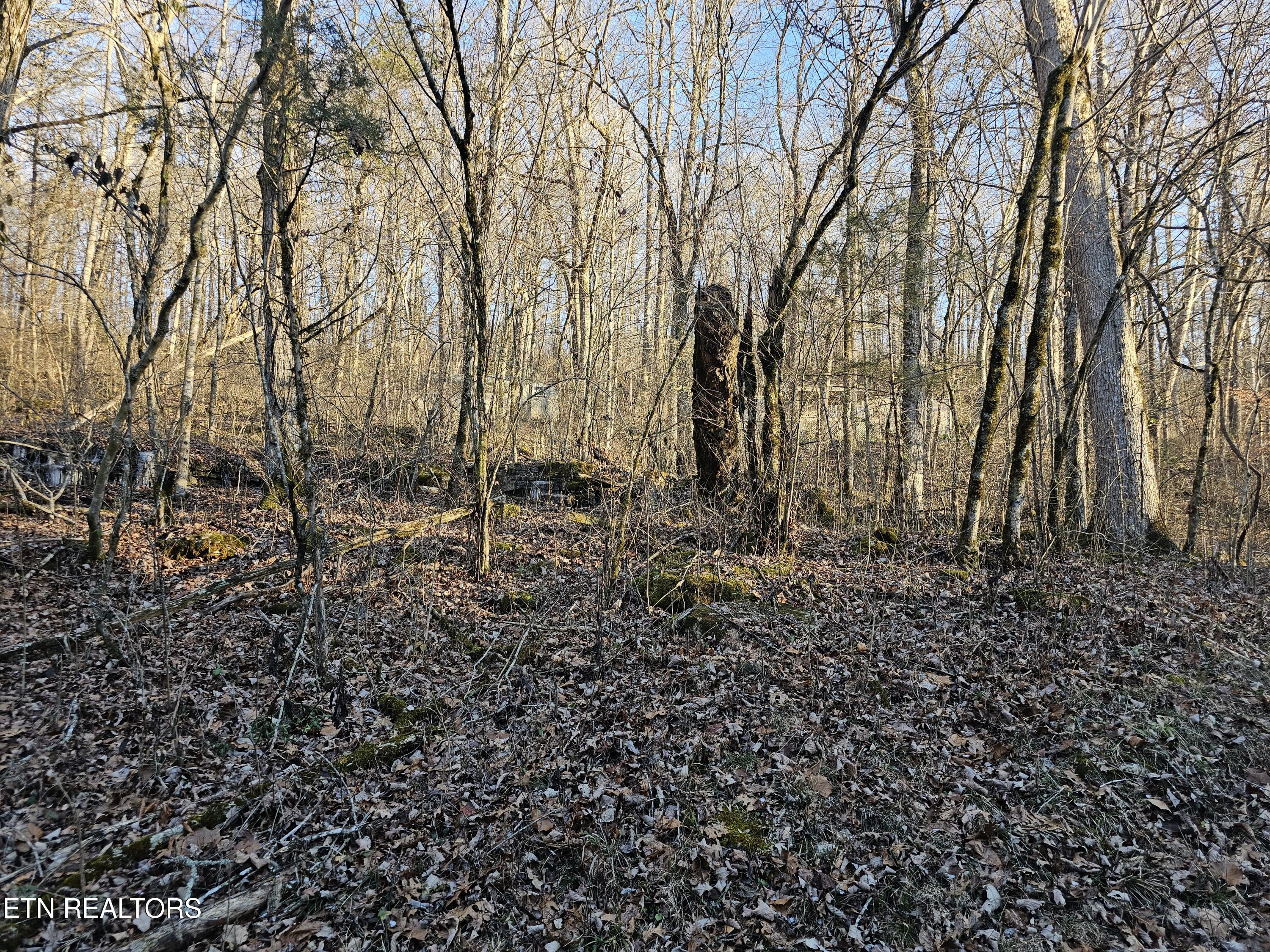 Image 4: 20250109_163836