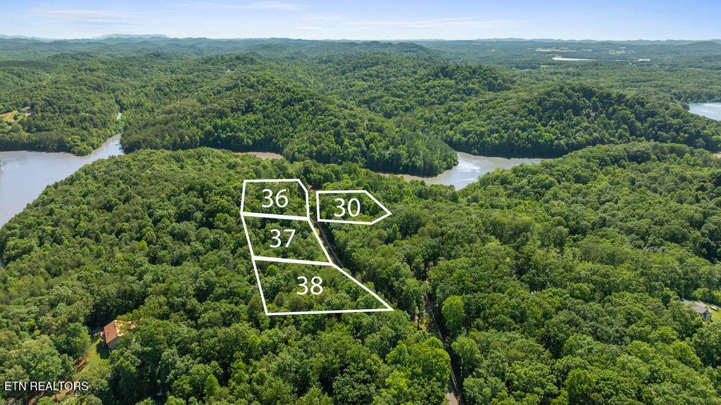 Image 1: DJI_0663