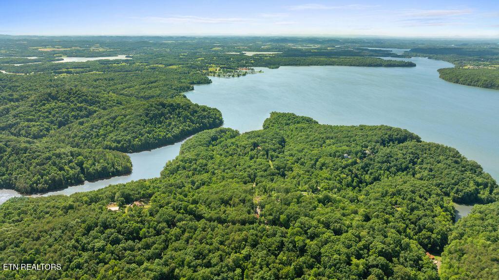 Image 3: DJI_0673