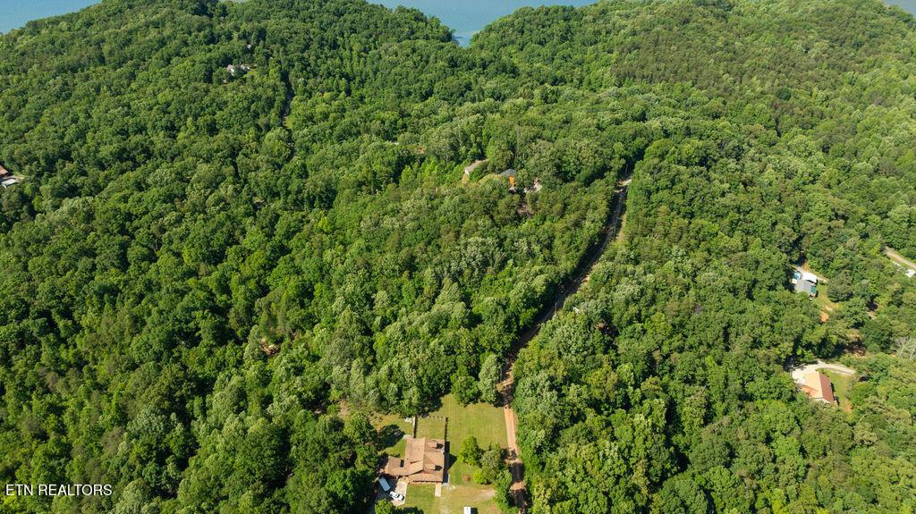 Image 4: DJI_0679