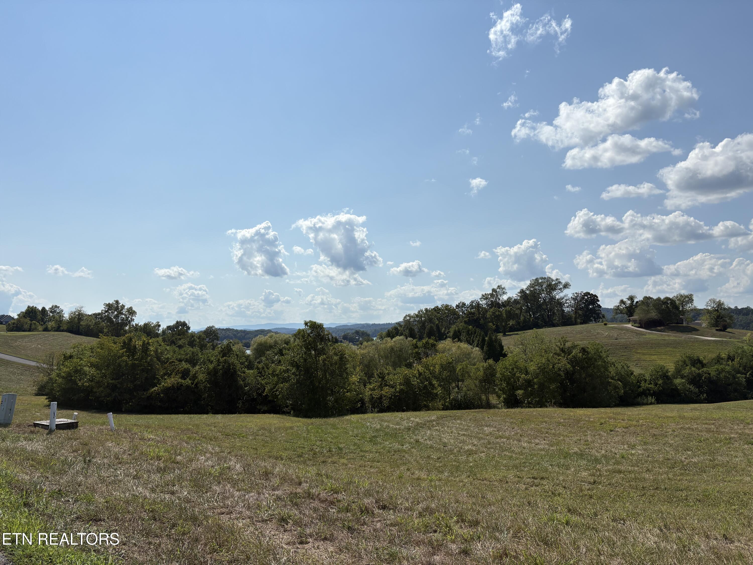 Image 1: Lot 415
