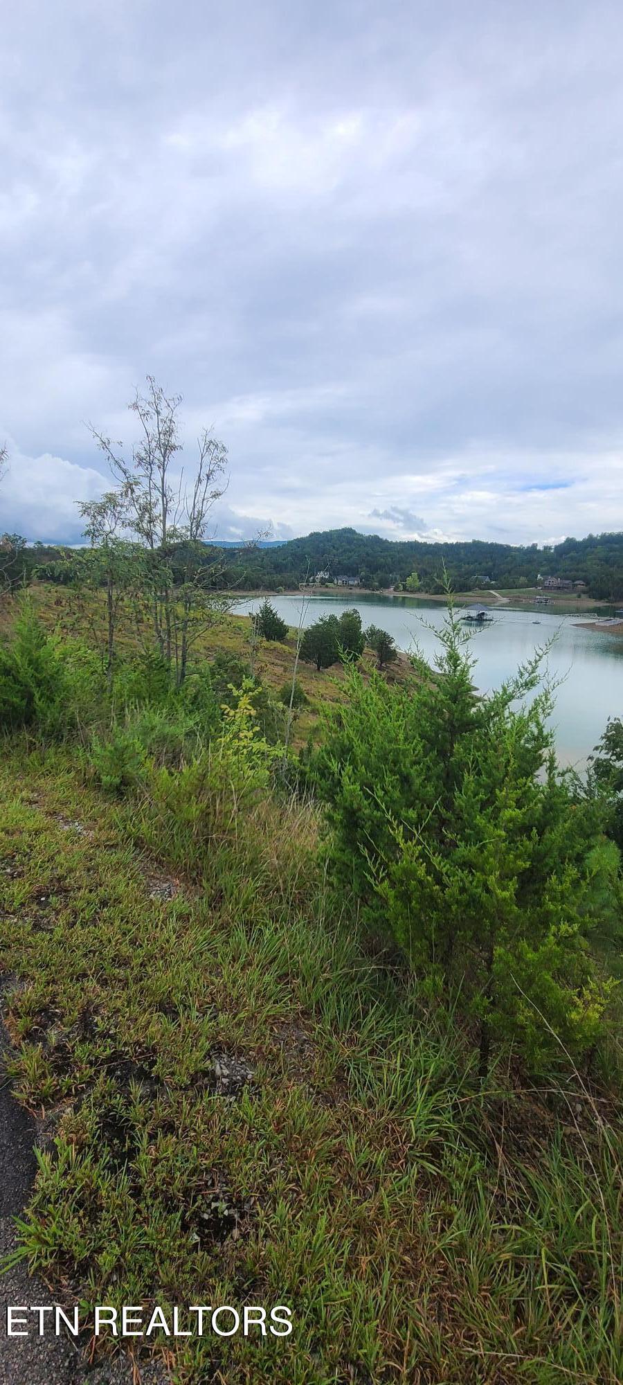 Image 4: 1000035885