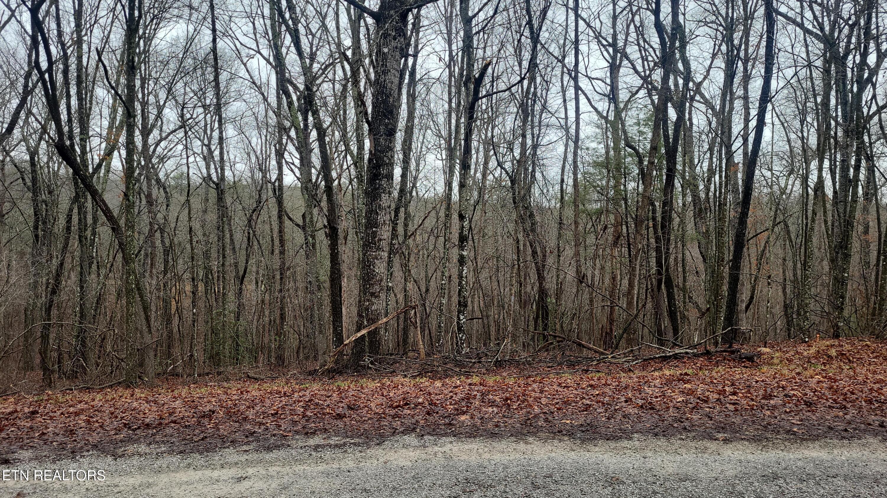 Image 1: 21 Ashford Pl