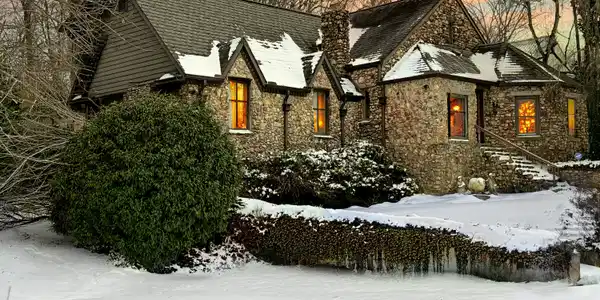 Image 3: Snowy January Day