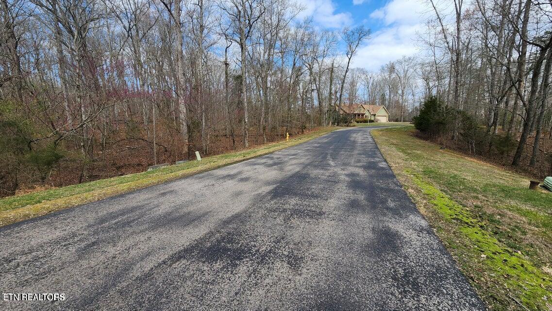 Image 4: 210 E shore d