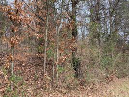 Lot 39 Melton Hill Circle