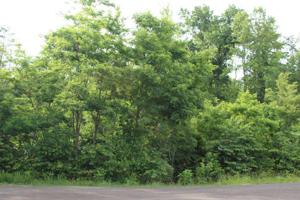 Lot 389 Graphite Court
