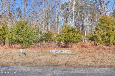 Lot 151 E Shore Drive