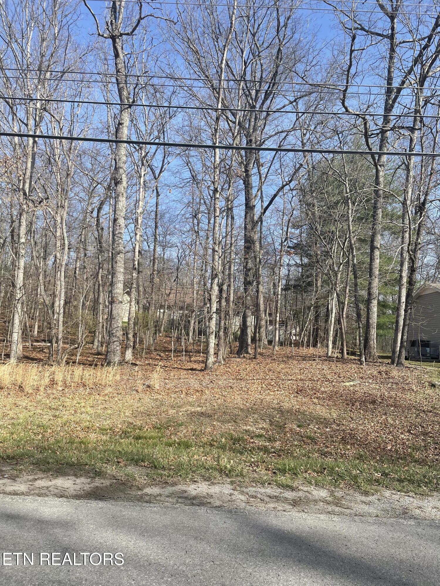 Image 1: 359 Lakeview lot front