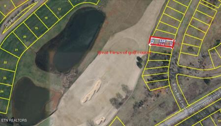 321 Black Bear Cir
