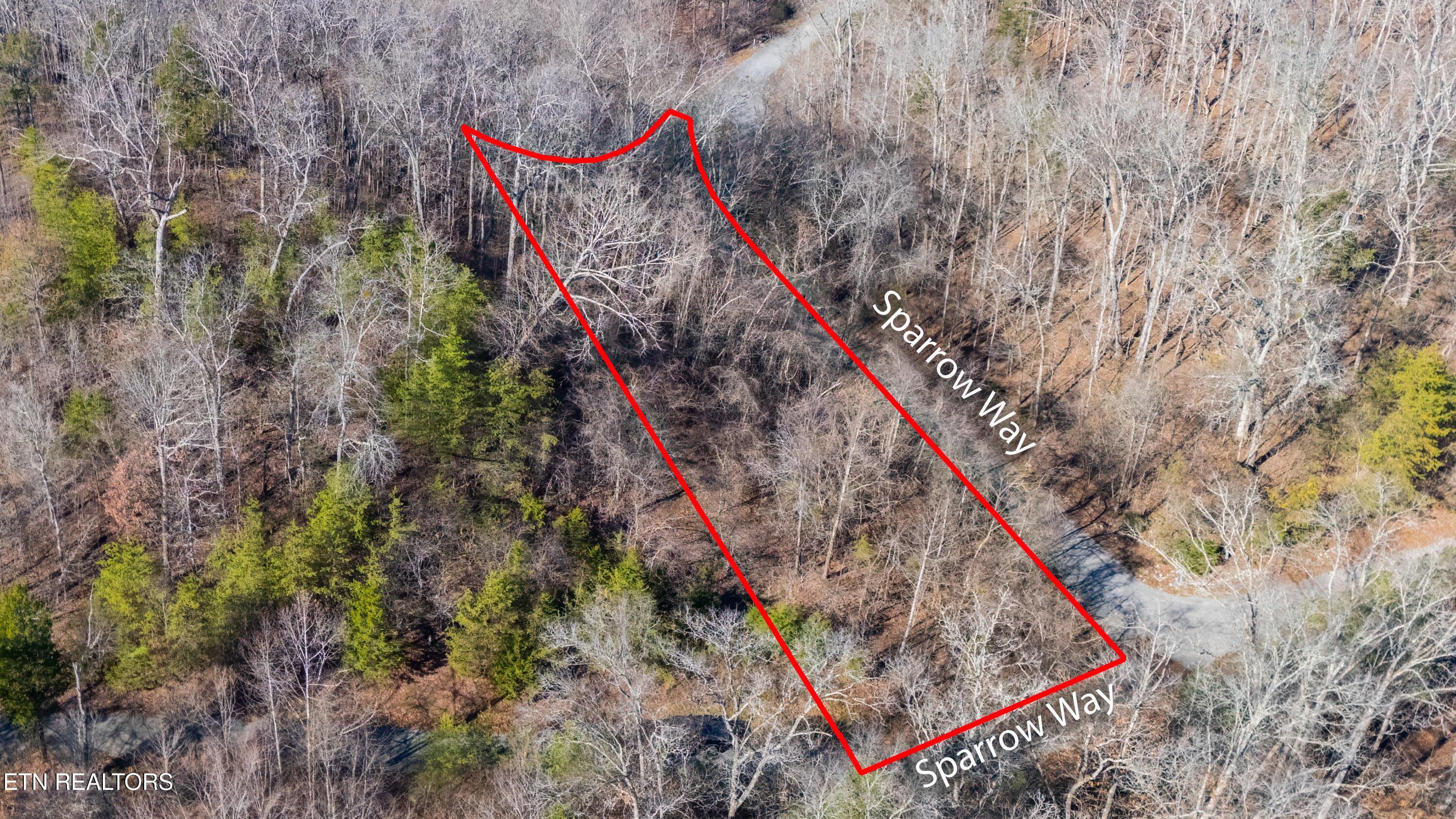 Image 4: DJI_20251128132418_0122_D-HDR-Edit-Edit-