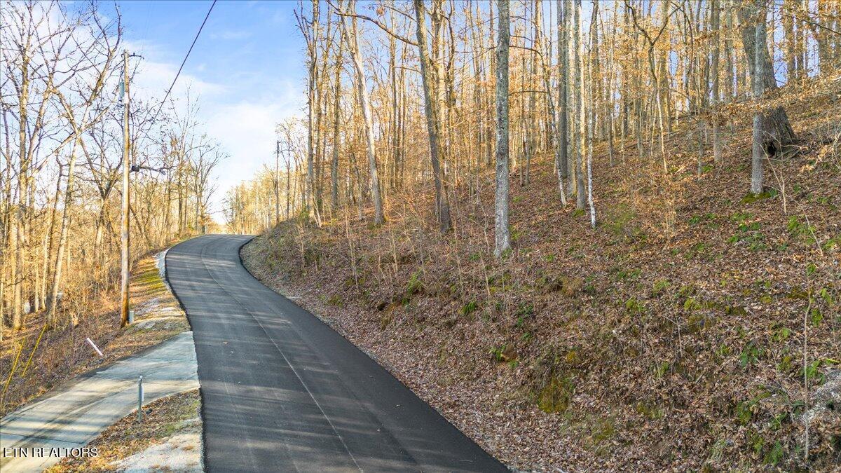 Image 4: 3-Shanghai