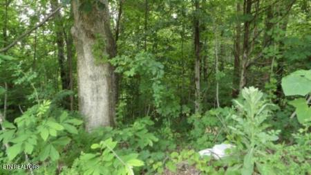 51.30ac Livingston Hwy