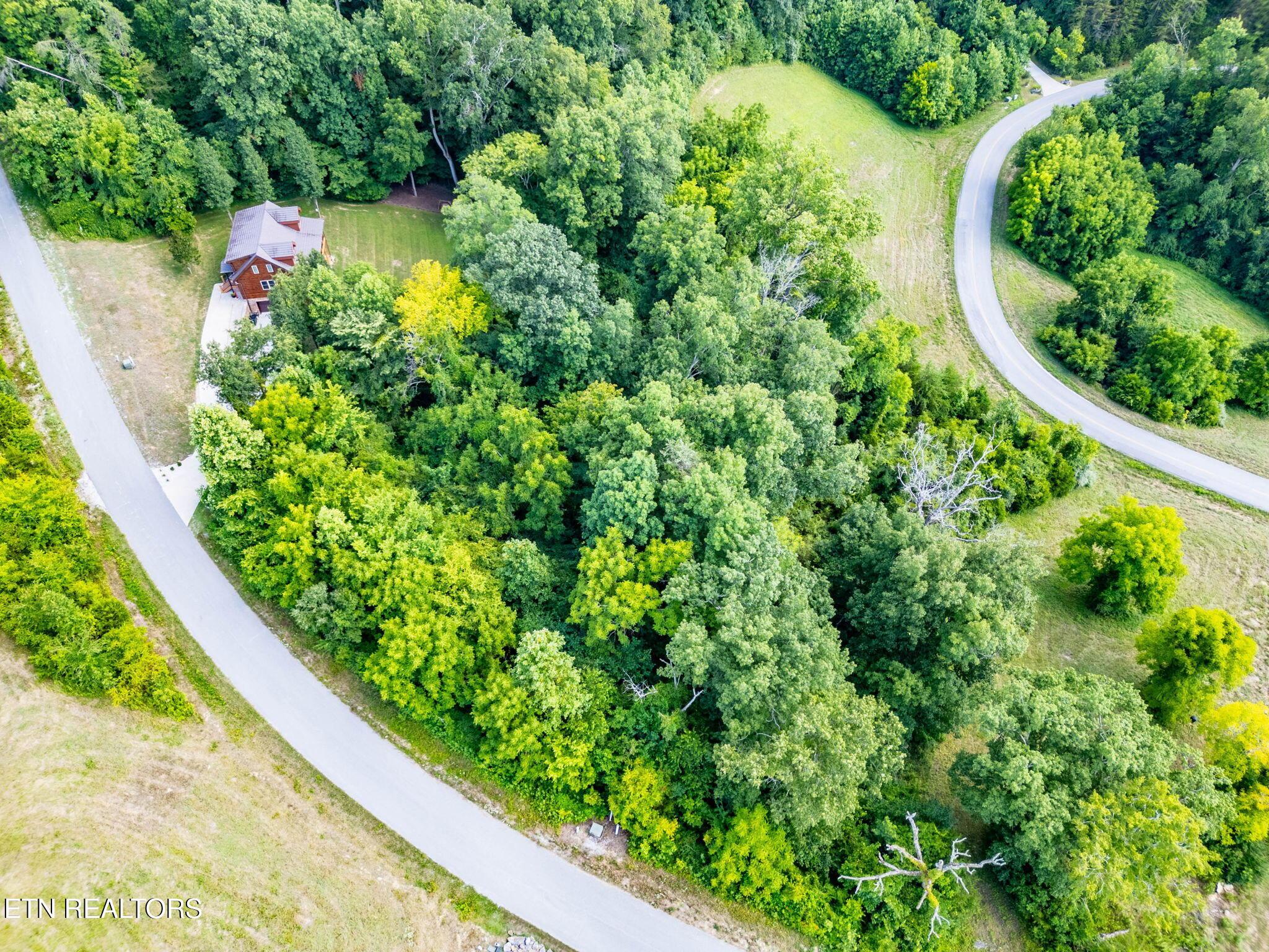 Image 4: 7-web-or-mls-DJI_0157-HDR