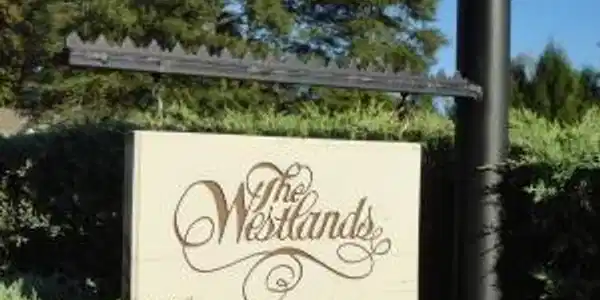Image 3: The westlands