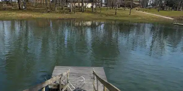 Image 2: Dock