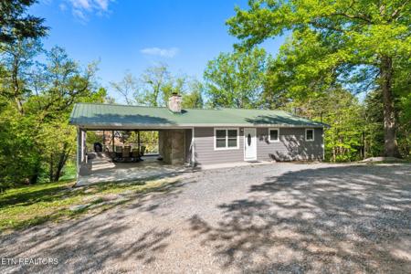 183 Shelby Loop