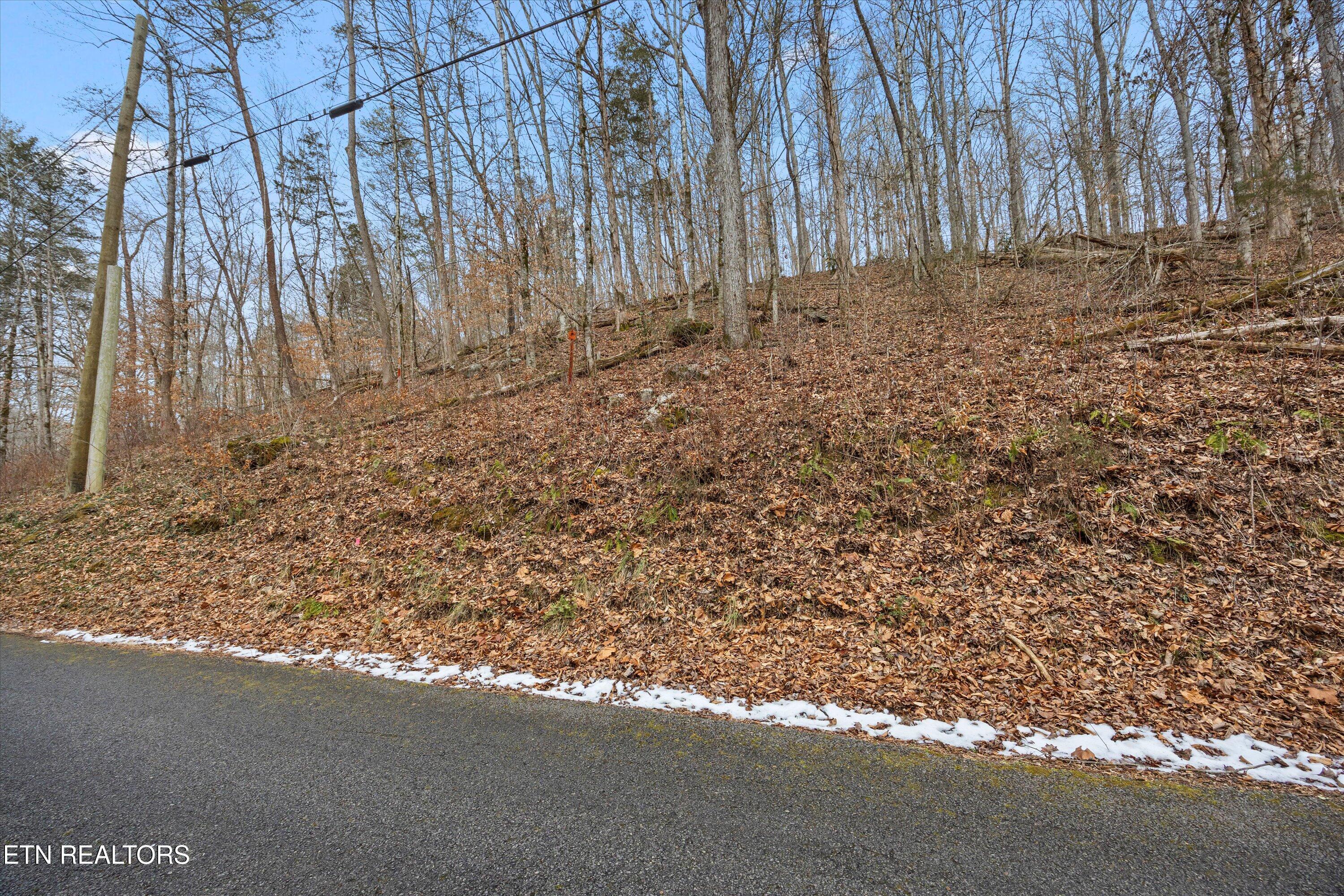 Image 3: 06-006 RS9_5637