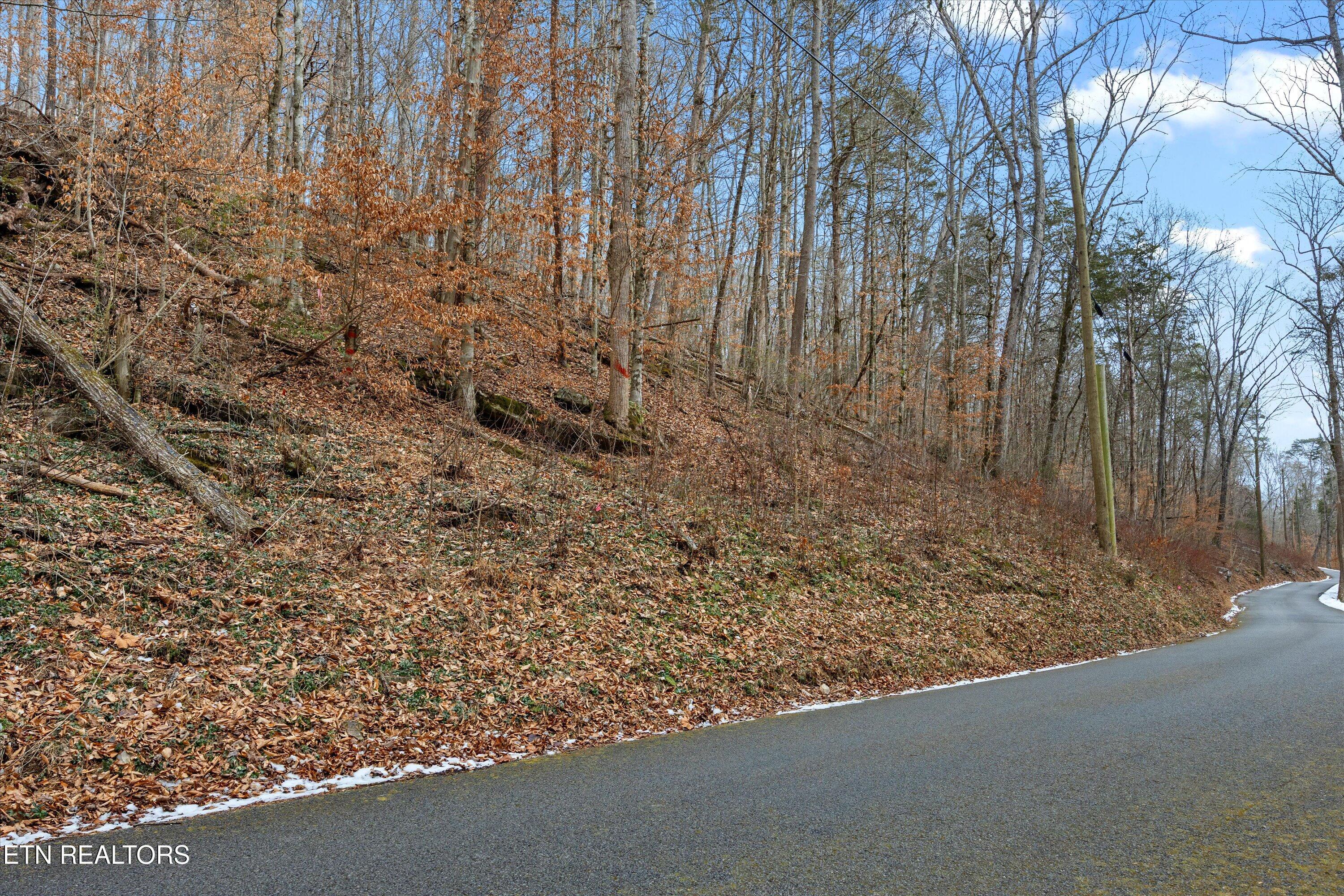 Image 4: 07-007 RS9_5629