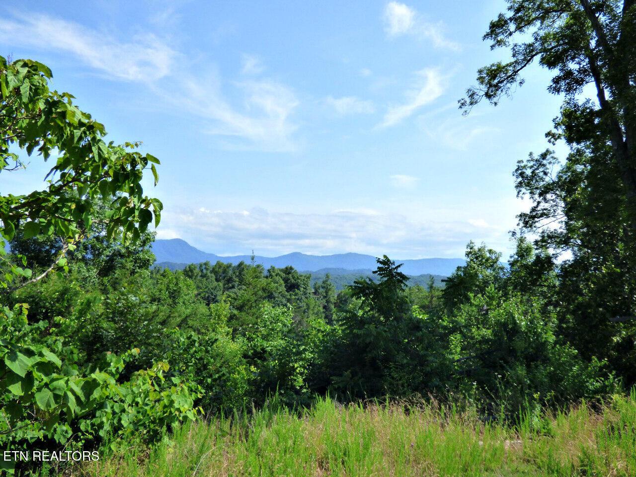 Image 3: 3