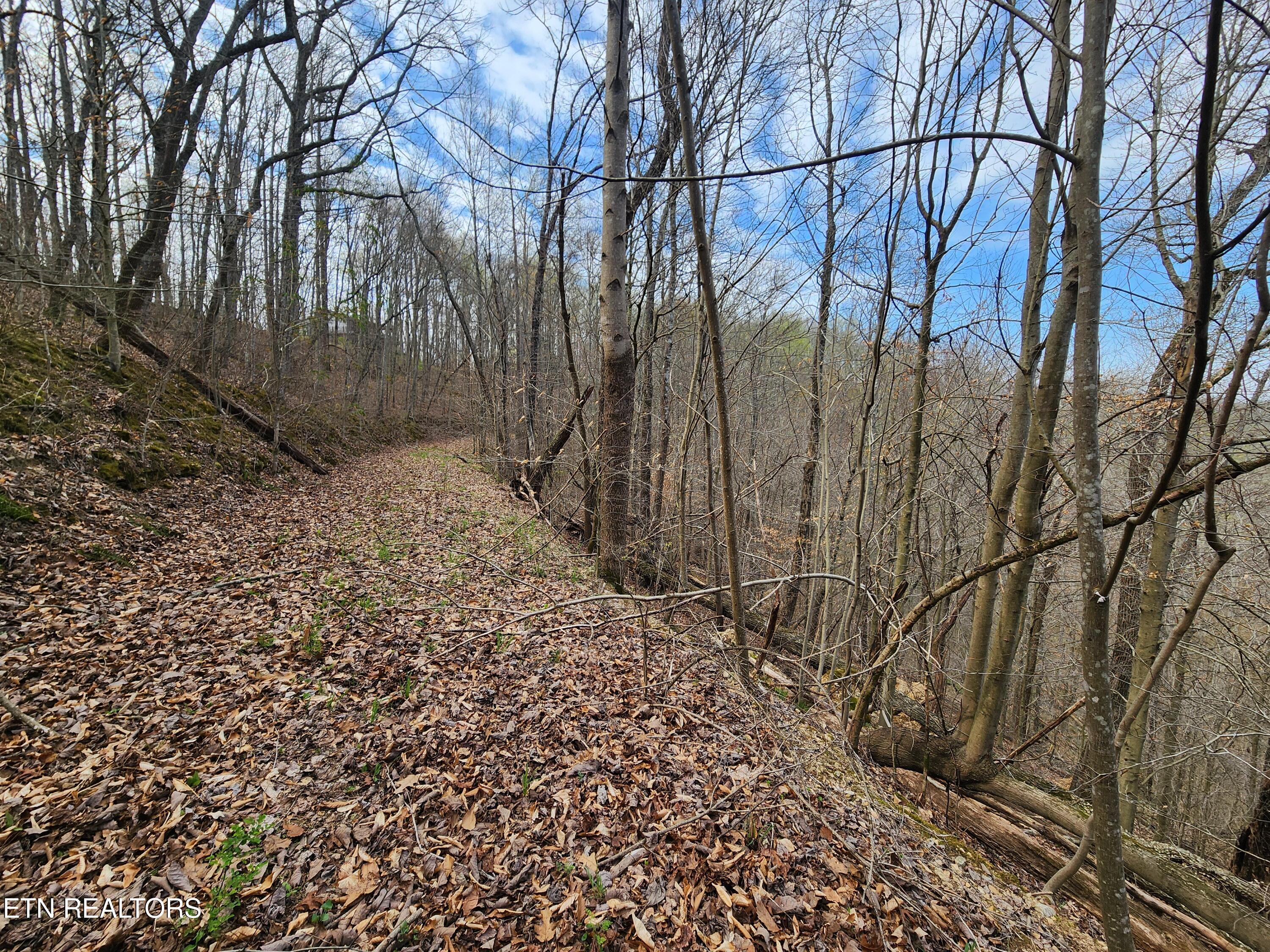 Image 2: 20260325_103012