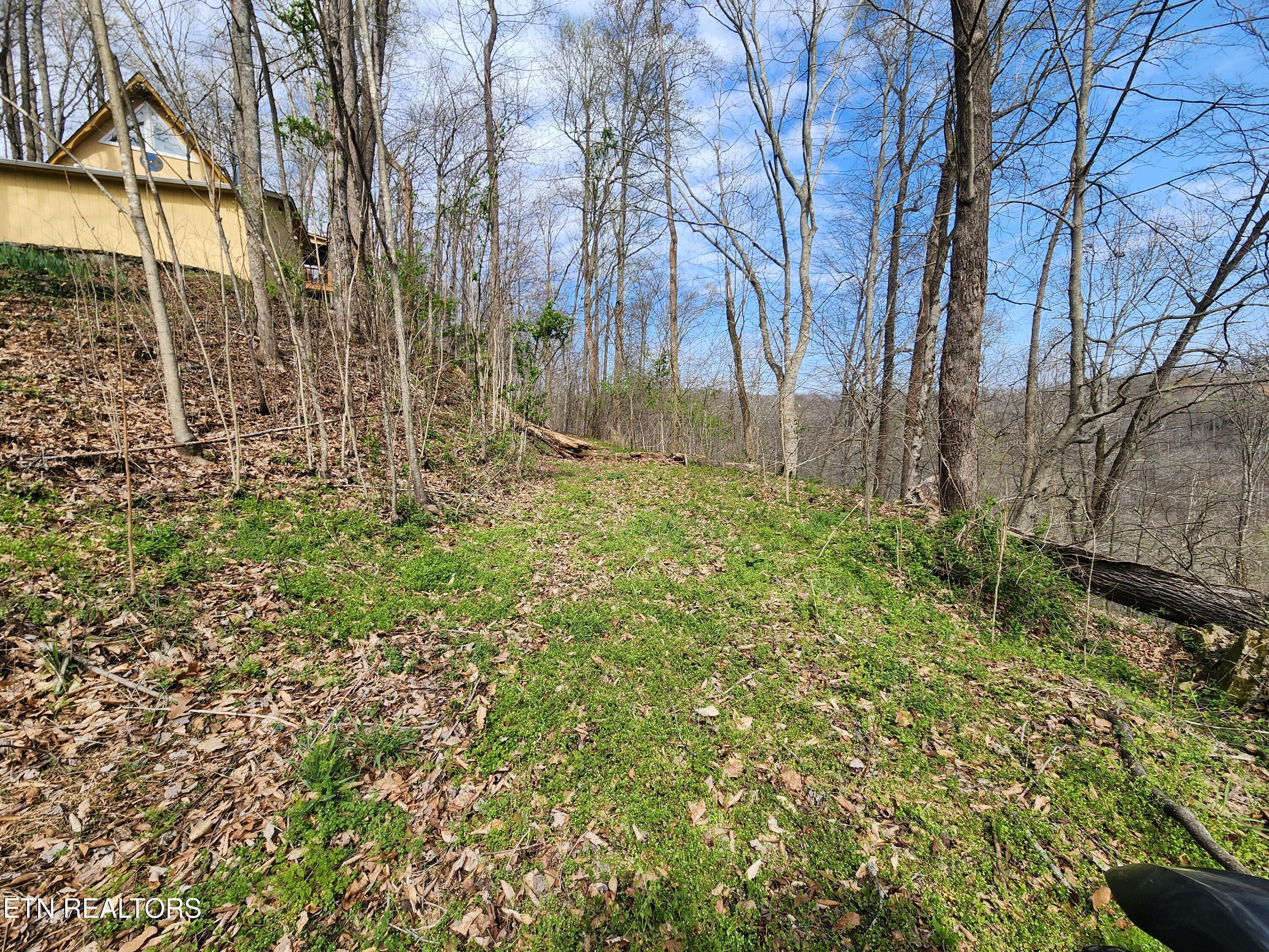 Image 3: 20260325_102847