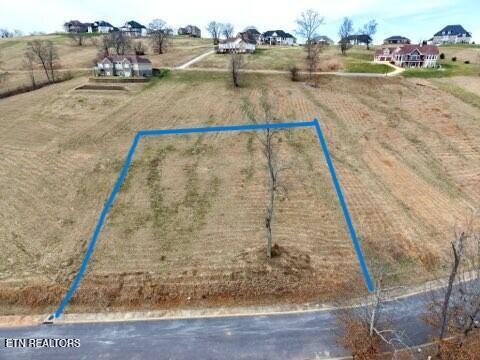 Image 2: forrester 3 air