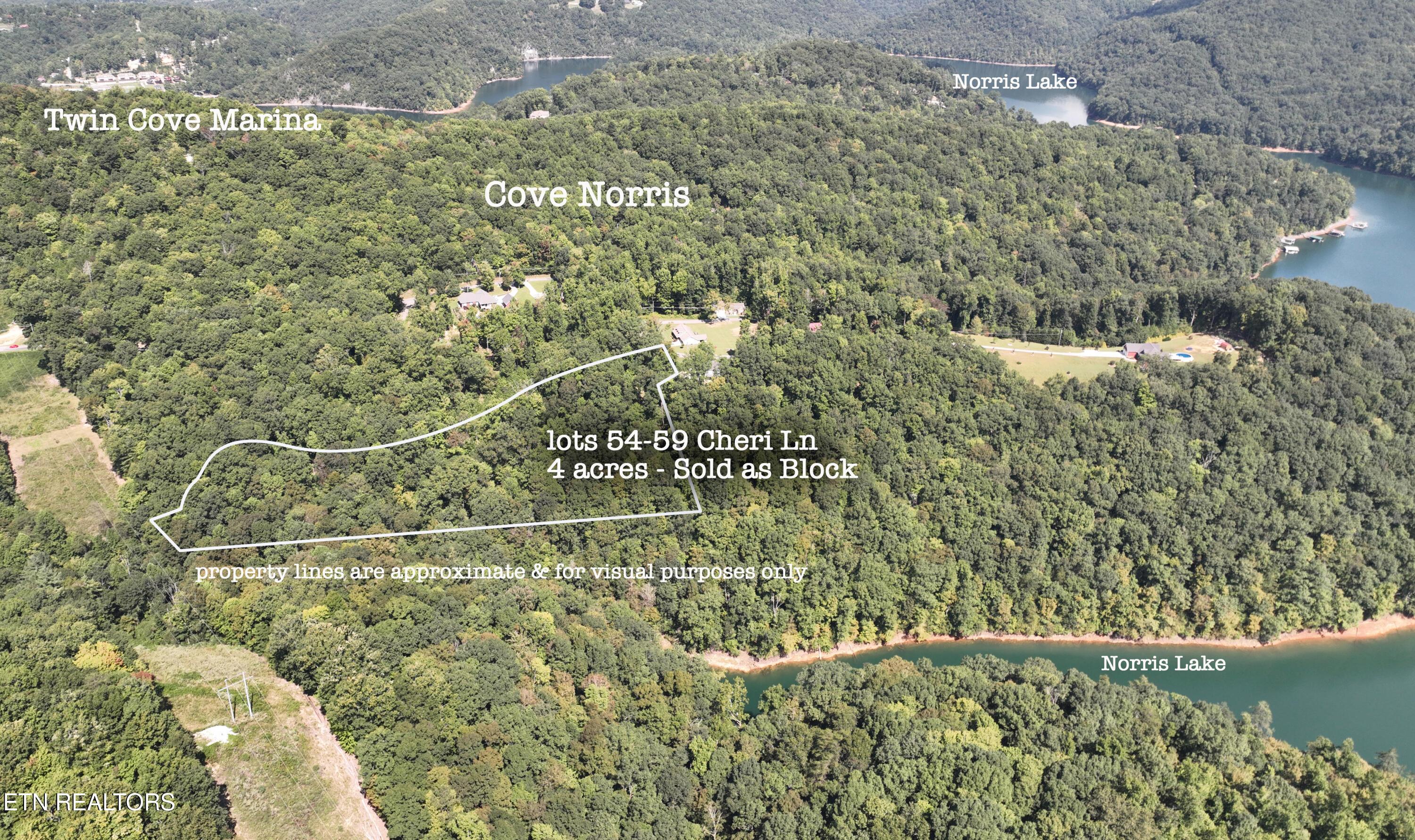 Image 2: L#s 54-59 Cheri Cove Norris, Norris Lake
