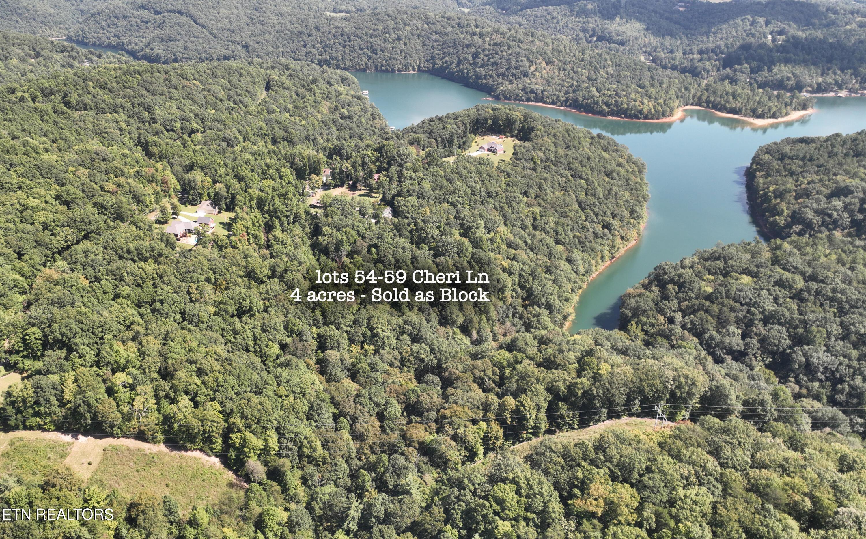 Image 3: L#s 54-59 Cheri Cove Norris, Norris Lake