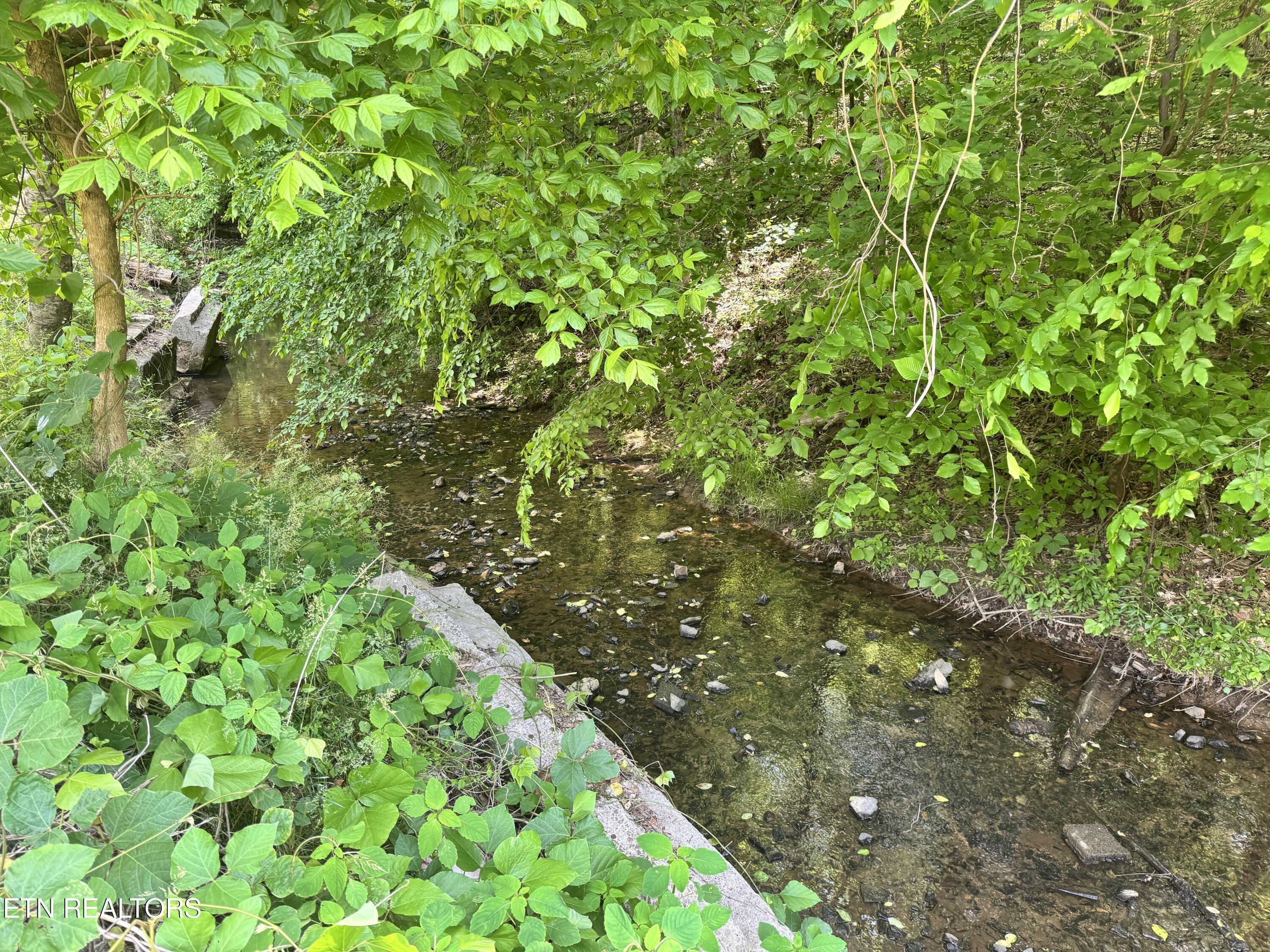 Image 4: Creek 1