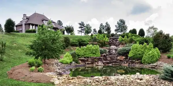 917 Eagle Nest Drive
