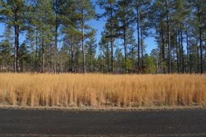 Lot 36r-1 Quail Run Drive 36r-1
