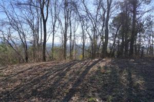 Lot 16 Overlook Loop 16