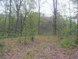Lot 30 And 31 Highpoint Ln Way