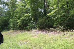 Lot 60 Beaten Path