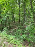 Lot 39 Joroulman Drive