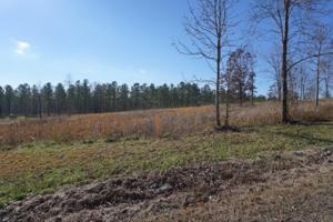 Lot 33r Wilderness Drive 33r
