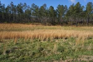 Lot 35r-1 Quail Run Drive 35r-1