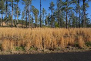 Lot 37r-2 Quail Run Drive 37r-2