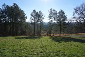 Lot 20 Overlook Way 20