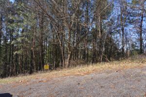 Lot 6 Overlook Loop 6