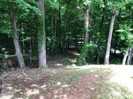 Lot 47 Stoney Rock Lane