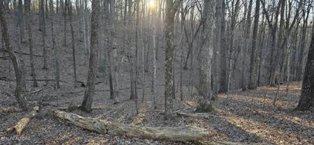 119 Pineridge Loop