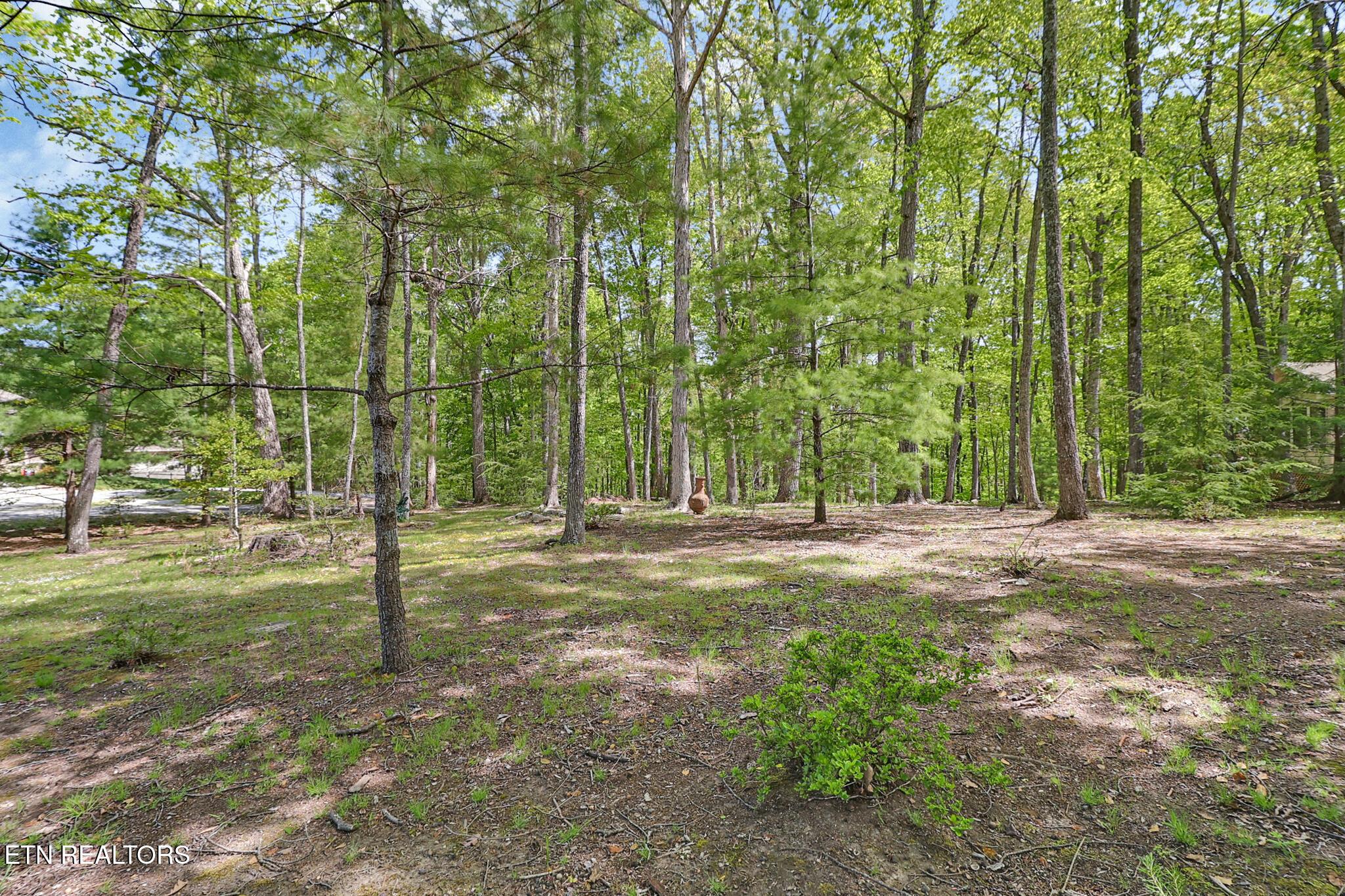 Image 4: 14 RIDGE CREST CIRCLE