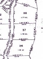Shady Branch  36,37,38