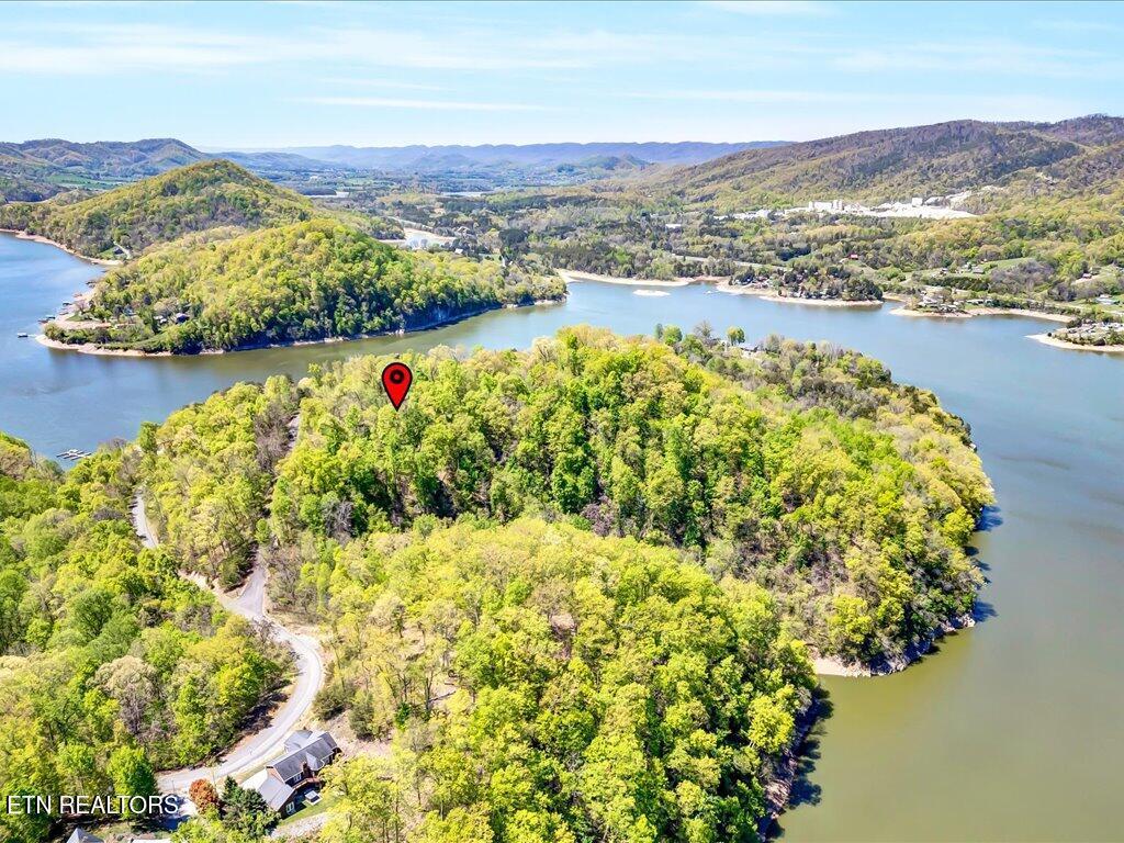 Image 3: Lot 49 Hickory Knoll - 3