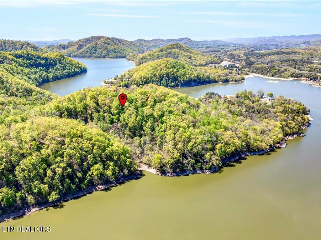 Image 4: Lot 49 Hickory Knoll - 4